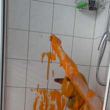Vara: Chained and Slimed