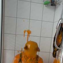 Vara: Chained and Slimed