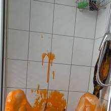Vara: Chained and Slimed