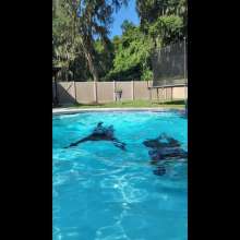 gsdwetlook: Sweater, T-shirt and Jeans in the Pool