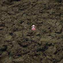 QS4Ever: Tiny in Alternative Farm Clay