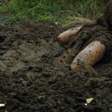 QS4Ever: Tiny in Alternative Farm Clay
