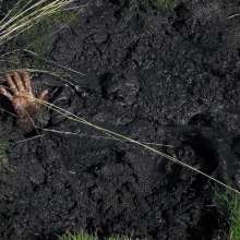QS4Ever: Wednesday and Marsh Grass: Chapter 2