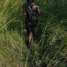 QS4Ever: Wednesday and Marsh Grass: Chapter 2