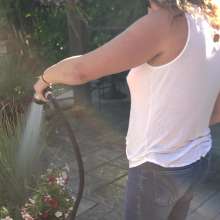 Wet Orchid: Wet Orchid Watering Flowers, Oops the Hose Slipped!