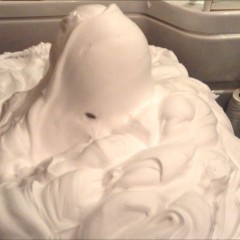 anthony10: Speaking of Foam....