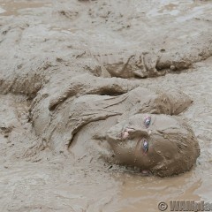EuroWAM Team: For the slime fans .-.-. and not just for them.