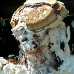 Lenny: L A S T day of H U G E sale for pied women vids, up to 60% off !