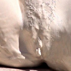 FOXY: Lesbian duo in mud downloadable ..
