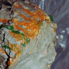 Pure Paint: 