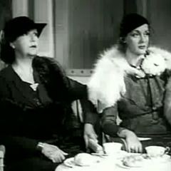 StrapOnPiegirls: 