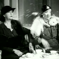 StrapOnPiegirls: 