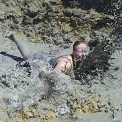 wamfgcom: Wild Clay!