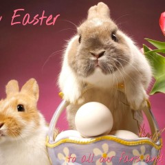 EuroWAM Team: Happy Easter!