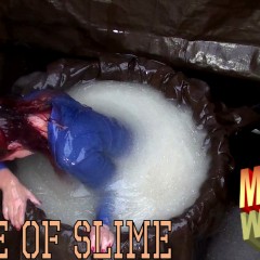 LiquidX: Lisa Stuck In Giant Tub of Glue