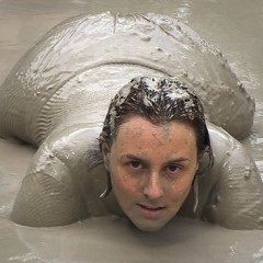FOXY: video fishnet in mud