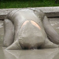 FOXY: video fishnet in mud