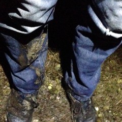 wetmart2240: Muddy Walk
