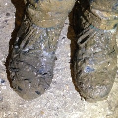 wetmart2240: Muddy Walk