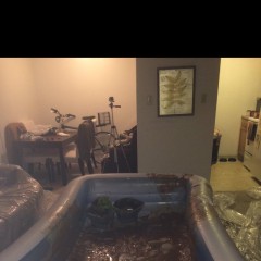 MyPieRogative: Messy tour pics!
