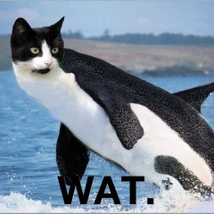 wambob: 