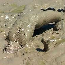 FOXY: Videos with Marion in deep mud