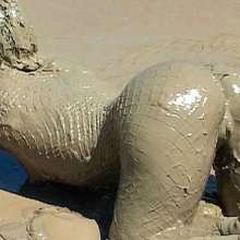 FOXY: Videos with Marion in deep mud