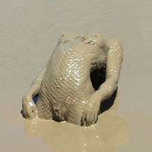 FOXY: Videos with Marion in deep mud