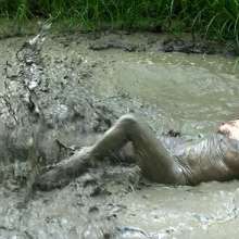 FOXY: New video mud in forest