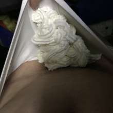 messy944: Trashing new white boxers