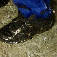 wetmart2240: Great Mud