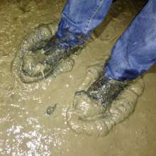 wetmart2240: Great Mud
