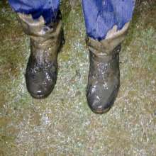 wetmart2240: Great Mud