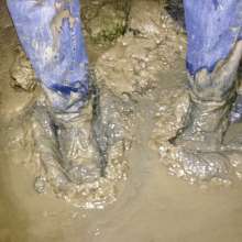 wetmart2240: Great Mud