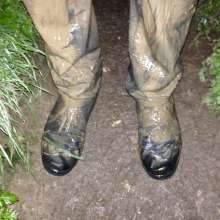 wetmart2240: Great Mud