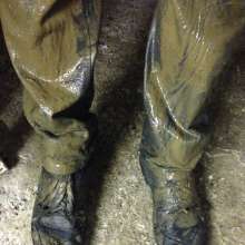 wetmart2240: Great Mud