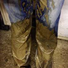 wetmart2240: Great Mud