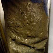 wetmart2240: Great Mud