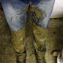 wetmart2240: Great Mud