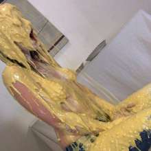 Messygirl: Pics from a New Messygirl Download