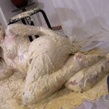 Messygirl: Pics from a New Messygirl Download