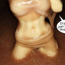 Bobographer: Tina's 'Muddy'  shortcut