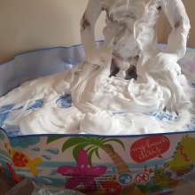 Submergedinfoam: Foamy fun