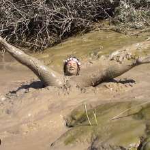 FOXY: Amazing deep mud