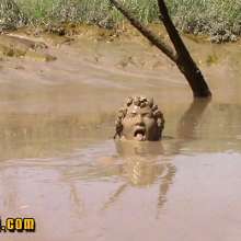 FOXY: Amazing deep mud