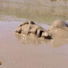 FOXY: Amazing deep mud