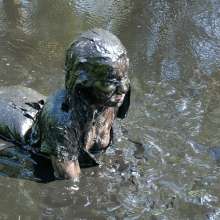WSMProductions: Blonde Kimyl experiences the silty, peaty, oily mud--wsm