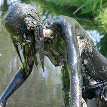 WSMProductions: Blonde Kimyl experiences the silty, peaty, oily mud--wsm