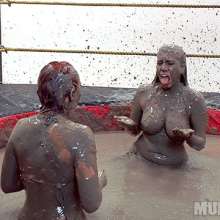 wamfan: Take A Mud Nap