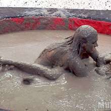 wamfan: Take A Mud Nap